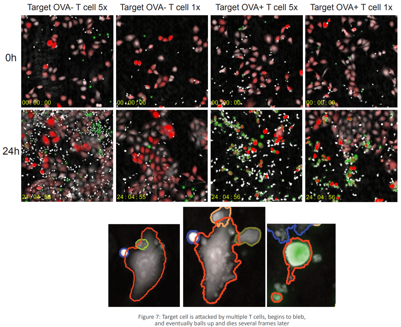 c8856789ec11ab8b1013037cef6929