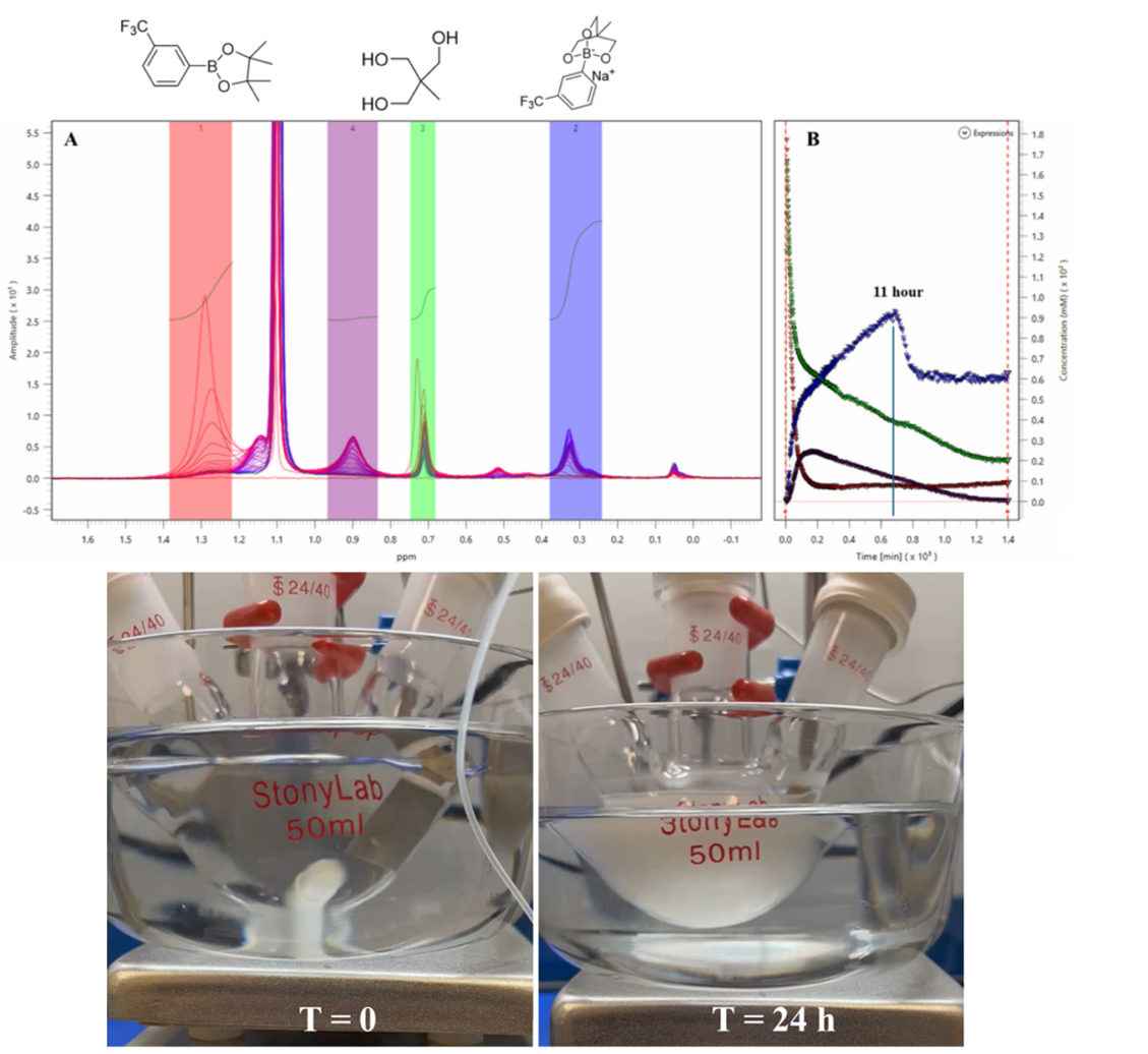 Spinsolve Case Study： 卓上型NMRによる不均質混合物のオンライン